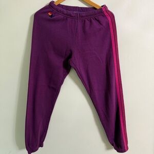 Aviator Nation 5 Stripe Sweatpants Purple Small